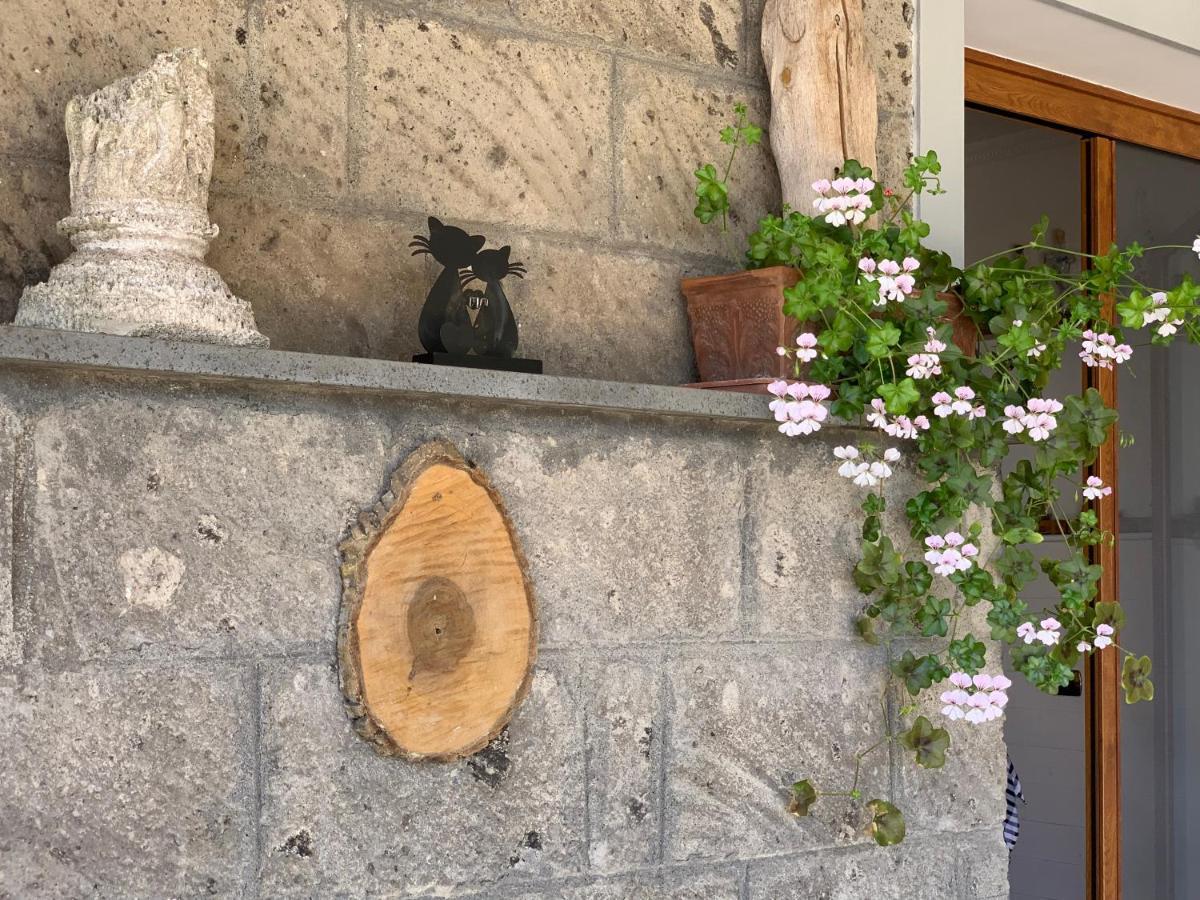 Villa Flore Colli di Fontanelle ภายนอก รูปภาพ